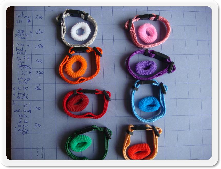 geboortepuppies%20001.JPG