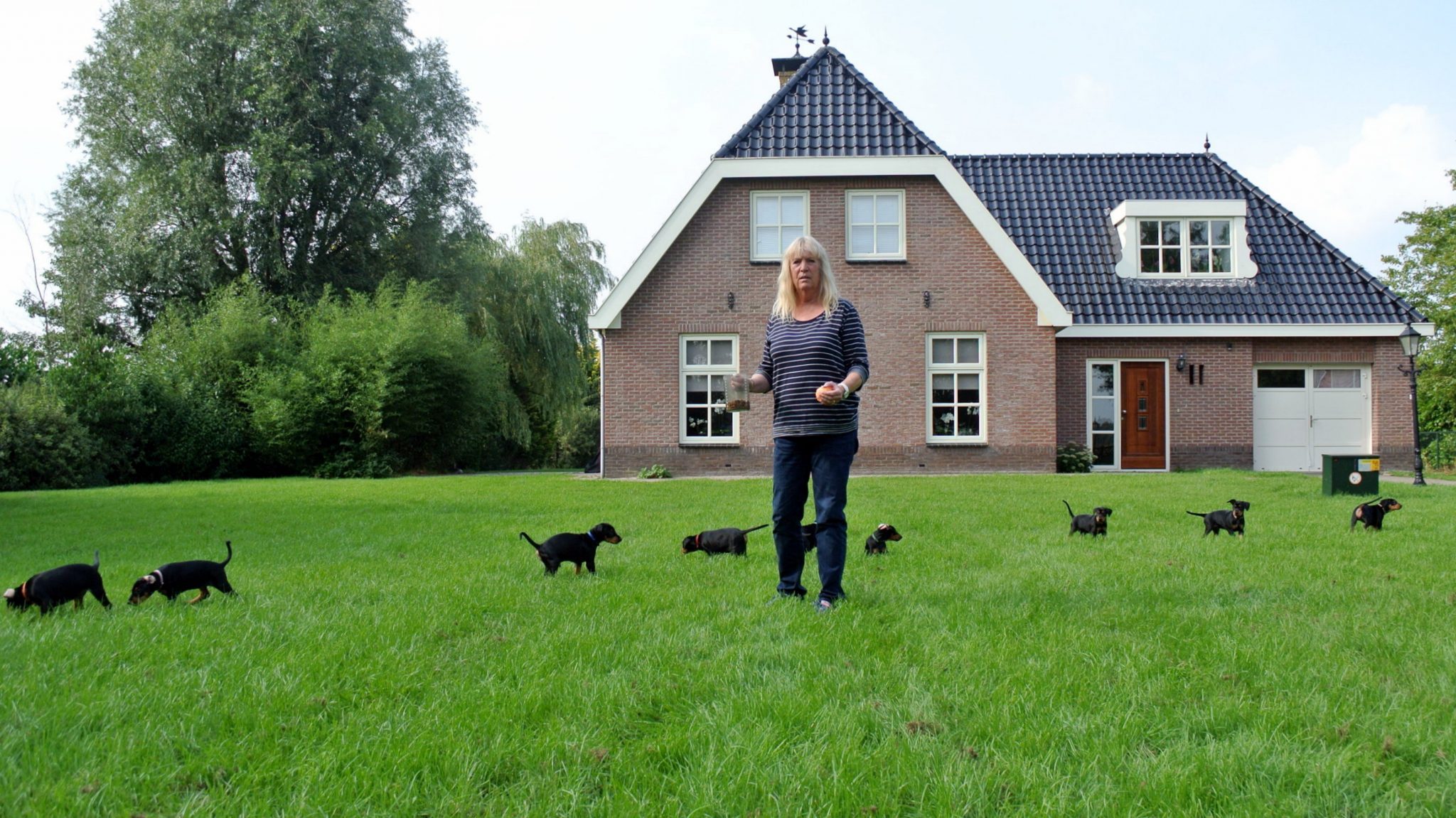 Onze kennel